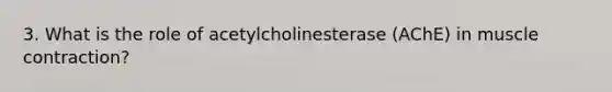 3. What is the role of acetylcholinesterase (AChE) in muscle contraction?