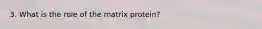 3. What is the role of the matrix protein?