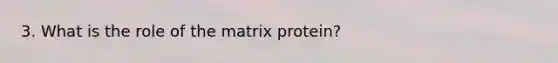 3. What is the role of the matrix protein?