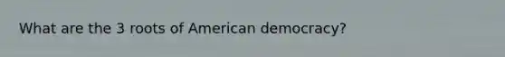 What are the 3 roots of American democracy?