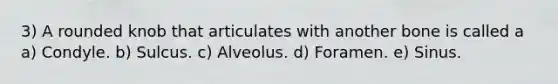 3) A rounded knob that articulates with another bone is called a a) Condyle. b) Sulcus. c) Alveolus. d) Foramen. e) Sinus.