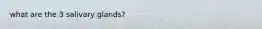 what are the 3 salivary glands?
