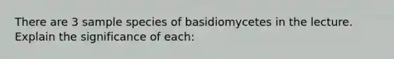 There are 3 sample species of basidiomycetes in the lecture. Explain the significance of each: