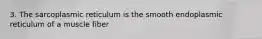 3. The sarcoplasmic reticulum is the smooth endoplasmic reticulum of a muscle fiber
