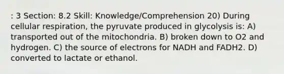 : 3 Section: 8.2 Skill: Knowledge/Comprehension 20) During cellular respiration, the pyruvate produced in glycolysis is: A) transported out of the mitochondria. B) broken down to O2 and hydrogen. C) the source of electrons for NADH and FADH2. D) converted to lactate or ethanol.