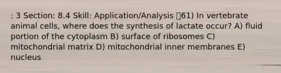 : 3 Section: 8.4 Skill: Application/Analysis 61) In vertebrate animal cells, where does the synthesis of lactate occur? A) fluid portion of the cytoplasm B) surface of ribosomes C) mitochondrial matrix D) mitochondrial inner membranes E) nucleus