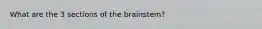 What are the 3 sections of the brainstem?