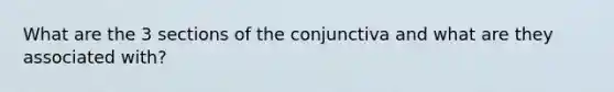 What are the 3 sections of the conjunctiva and what are they associated with?