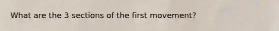 What are the 3 sections of the first movement?