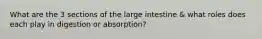 What are the 3 sections of the large intestine & what roles does each play in digestion or absorption?