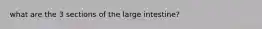 what are the 3 sections of the large intestine?