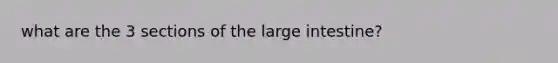 what are the 3 sections of the large intestine?