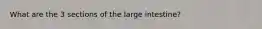 What are the 3 sections of the large intestine?