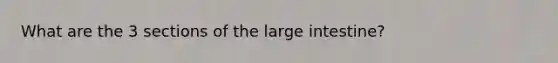 What are the 3 sections of the large intestine?