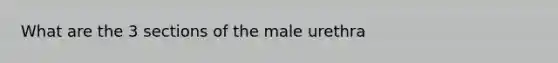 What are the 3 sections of the male urethra