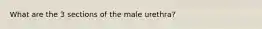 What are the 3 sections of the male urethra?