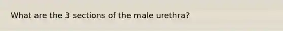 What are the 3 sections of the male urethra?