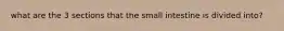 what are the 3 sections that the small intestine is divided into?