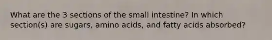 What are the 3 sections of <a href='https://www.questionai.com/knowledge/kt623fh5xn-the-small-intestine' class='anchor-knowledge'>the small intestine</a>? In which section(s) are sugars, <a href='https://www.questionai.com/knowledge/k9gb720LCl-amino-acids' class='anchor-knowledge'>amino acids</a>, and fatty acids absorbed?