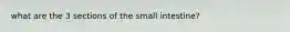 what are the 3 sections of the small intestine?