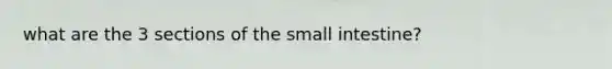 what are the 3 sections of the small intestine?