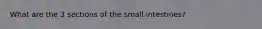 What are the 3 sections of the small intestines?