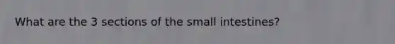 What are the 3 sections of the small intestines?