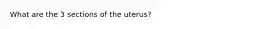 What are the 3 sections of the uterus?