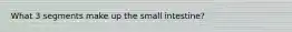 What 3 segments make up the small intestine?