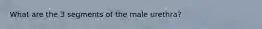 What are the 3 segments of the male urethra?