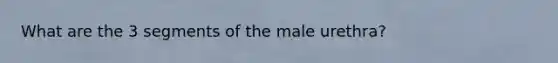 What are the 3 segments of the male urethra?