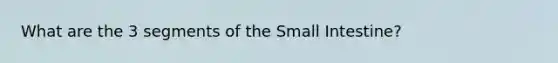 What are the 3 segments of the Small Intestine?