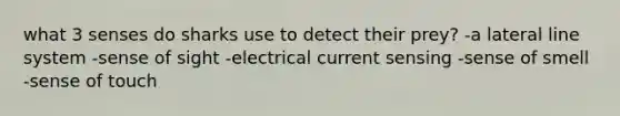 what 3 senses do sharks use to detect their prey? -a lateral line system -sense of sight -electrical current sensing -sense of smell -sense of touch