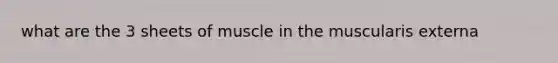 what are the 3 sheets of muscle in the muscularis externa