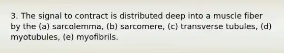 3. The signal to contract is distributed deep into a muscle fiber by the (a) sarcolemma, (b) sarcomere, (c) transverse tubules, (d) myotubules, (e) myofibrils.