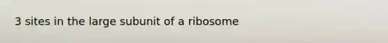 3 sites in the large subunit of a ribosome