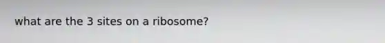 what are the 3 sites on a ribosome?