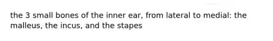 the 3 small bones of the inner ear, from lateral to medial: the malleus, the incus, and the stapes