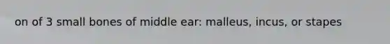 on of 3 small bones of middle ear: malleus, incus, or stapes