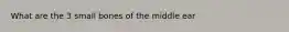 What are the 3 small bones of the middle ear