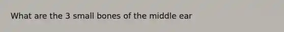 What are the 3 small bones of the middle ear