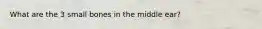 What are the 3 small bones in the middle ear?