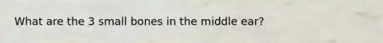 What are the 3 small bones in the middle ear?