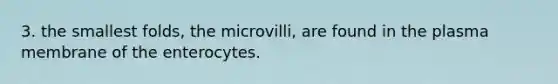 3. the smallest folds, the microvilli, are found in the plasma membrane of the enterocytes.