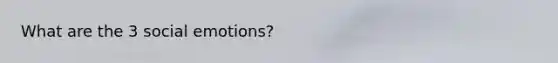 What are the 3 social emotions?