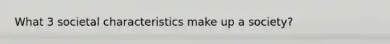 What 3 societal characteristics make up a society?