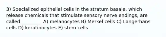 3) Specialized epithelial cells in the stratum basale, which release chemicals that stimulate sensory nerve endings, are called ________. A) melanocytes B) Merkel cells C) Langerhans cells D) keratinocytes E) stem cells