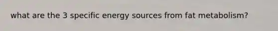 what are the 3 specific energy sources from fat metabolism?