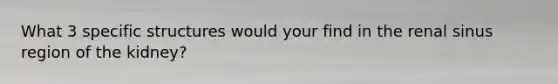 What 3 specific structures would your find in the renal sinus region of the kidney?