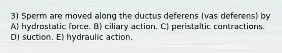 3) Sperm are moved along the ductus deferens (vas deferens) by A) hydrostatic force. B) ciliary action. C) peristaltic contractions. D) suction. E) hydraulic action.